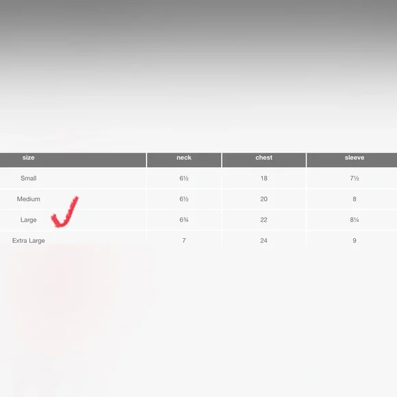 New WOT GNR 1988 Tour AFD Retro Fit Size Large Men’s. - Picture 5 of 9